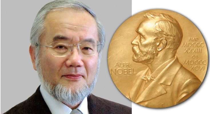 Nobel Prize in Physiology and Medicine
