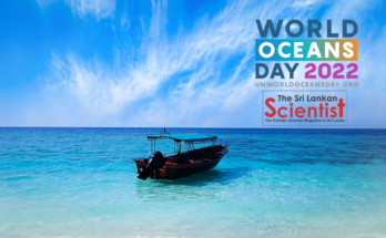Oceans Day 2022