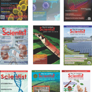 Bundle of 10 Issues of the Magazine